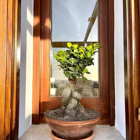 Holiday home La Casa Grande Di