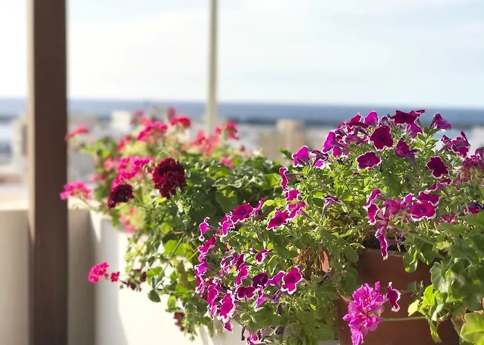 La Casa Grande Di Pantelleria